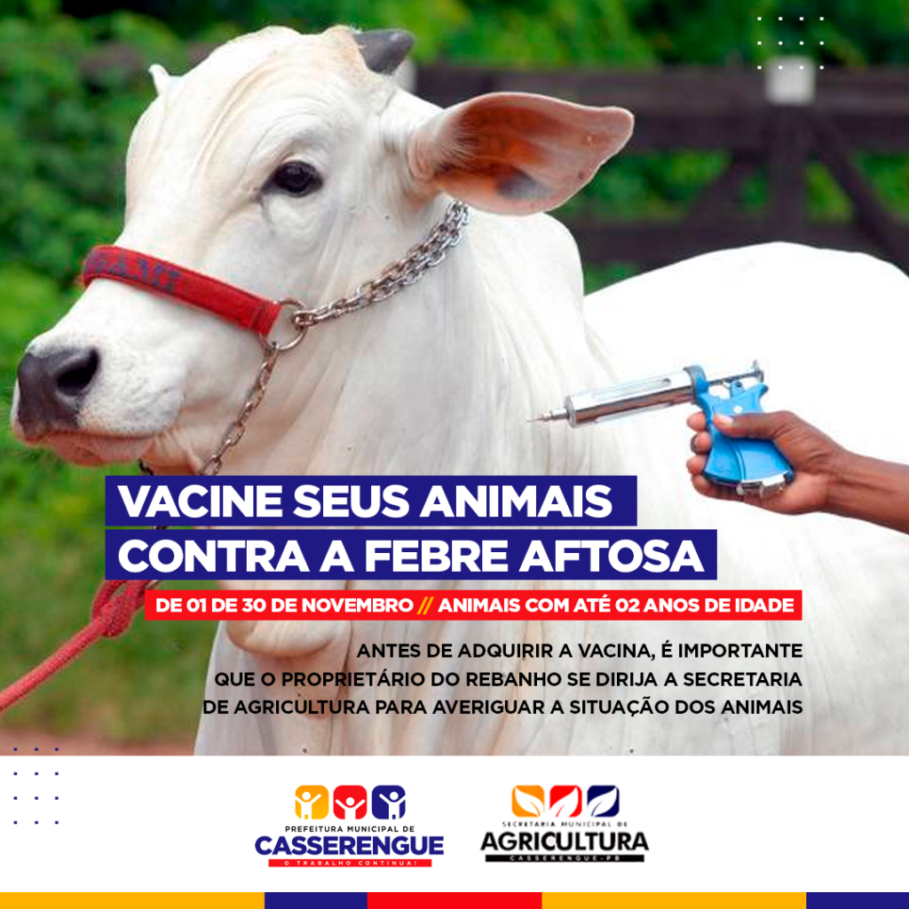 Campanha contra a febre aftosa